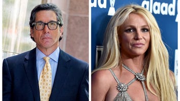 Britney Spears' Lawyer Mathew Rosengart Parts Ways With Singer After Three Years
